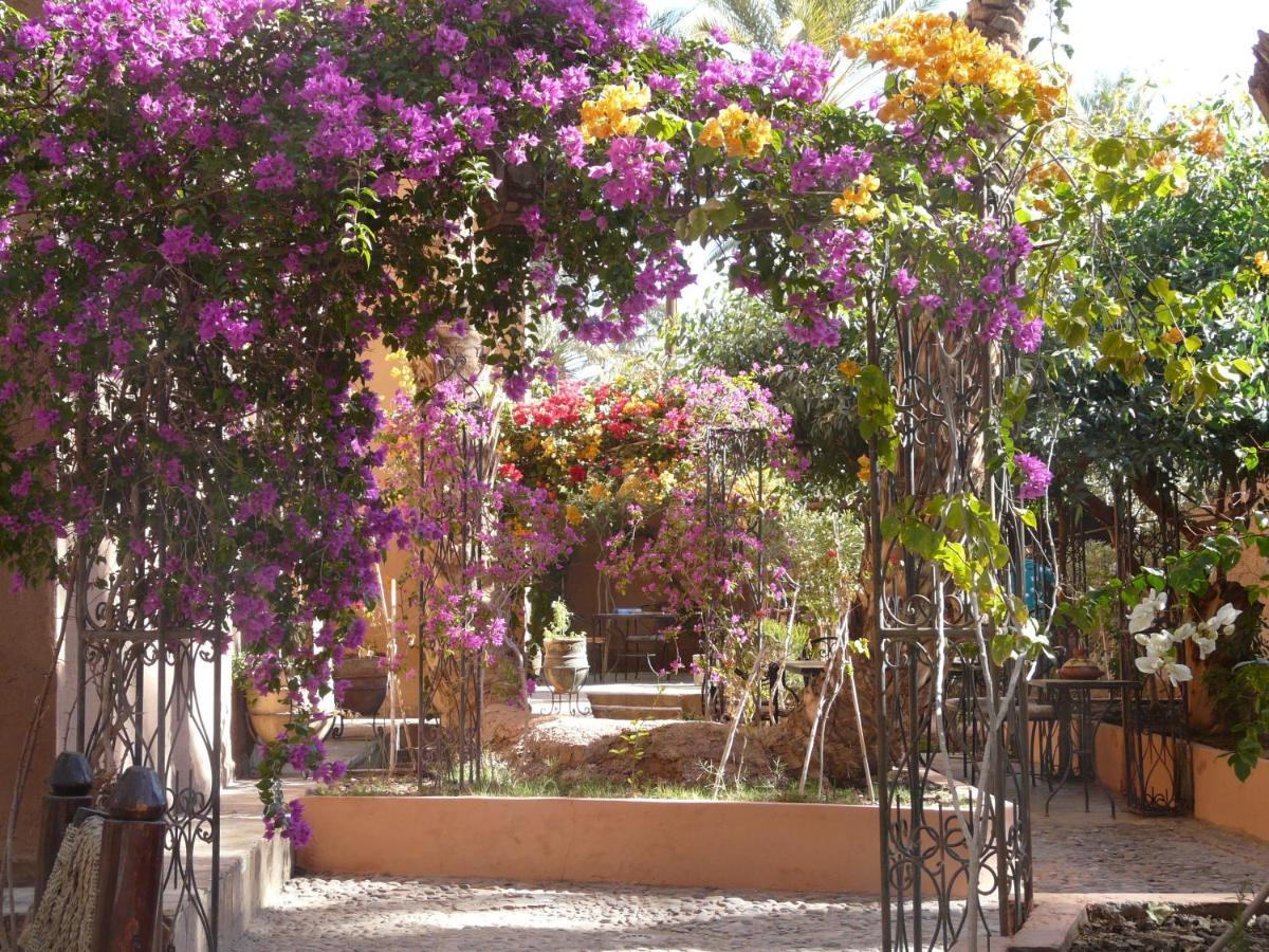 Dar Nakhla - Zagora Guest House Exterior foto